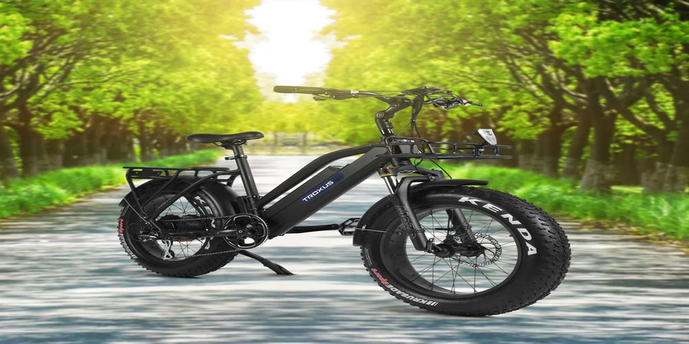 Troxus Mobility Has an E-Bike for Any Purpose